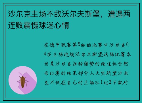 沙尔克主场不敌沃尔夫斯堡，遭遇两连败震慑球迷心情