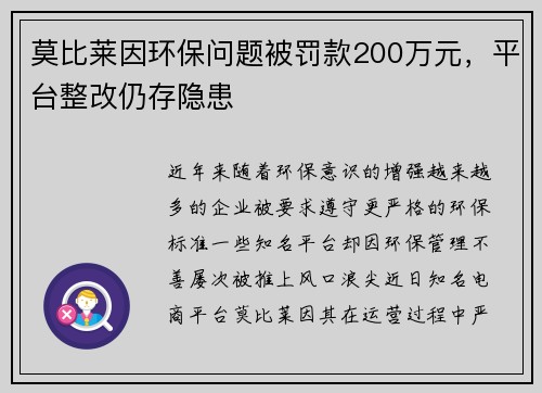 莫比莱因环保问题被罚款200万元，平台整改仍存隐患