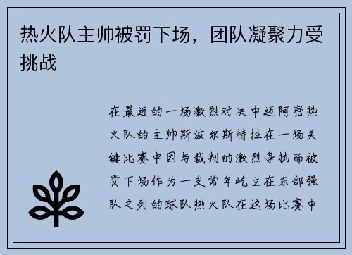 热火队主帅被罚下场，团队凝聚力受挑战