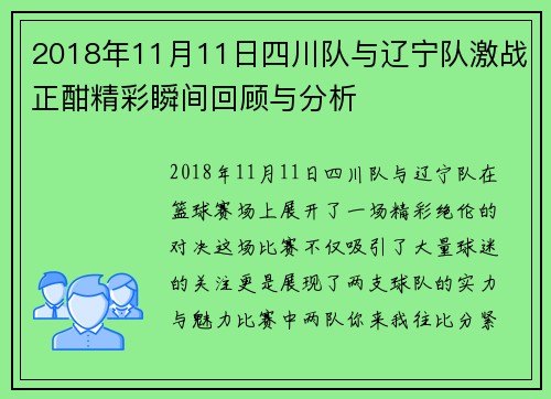 2018年11月11日四川队与辽宁队激战正酣精彩瞬间回顾与分析