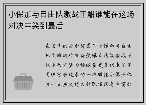 小保加与自由队激战正酣谁能在这场对决中笑到最后